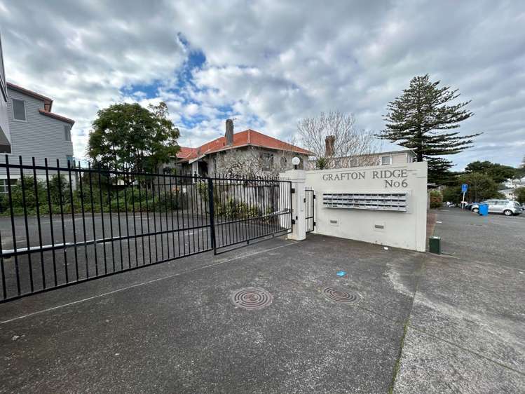 6b Carlton Gore Road Grafton_1