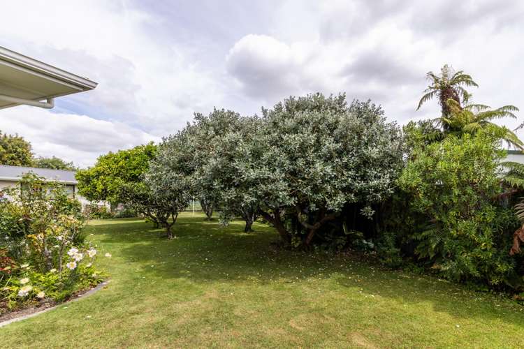 13 Trent Street Taradale_19