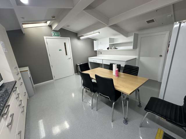 42 George Street Mt Eden_4