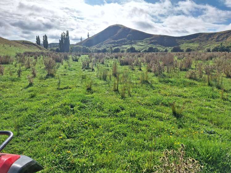 Mangaone Road Pongaroa_10