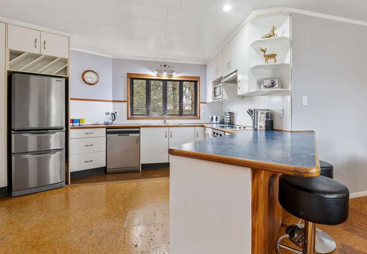 24 Kiwi Street Springfield_8