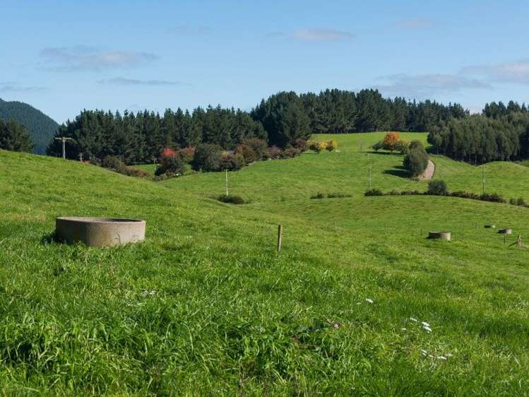 1111 Tutukau Road Reporoa and Surrounds_10