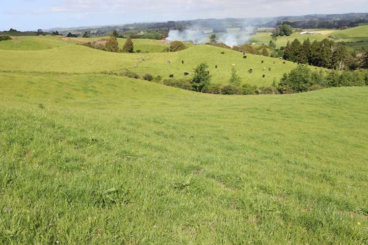 346 Lincoln Road Inglewood_9