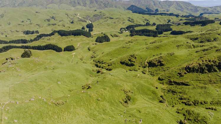 1337 Coonoor Road Pahiatua_8