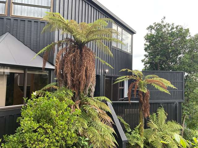 120 Stanmore Bay Road Stanmore Bay_3