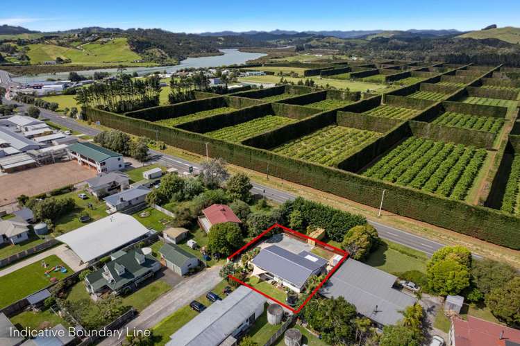 42 Adamson Road Taipa_19