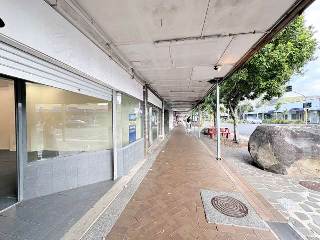 Queens Road Panmure_1