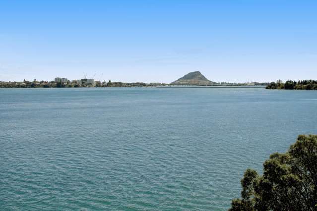 330 Maungatapu Road Maungatapu_1