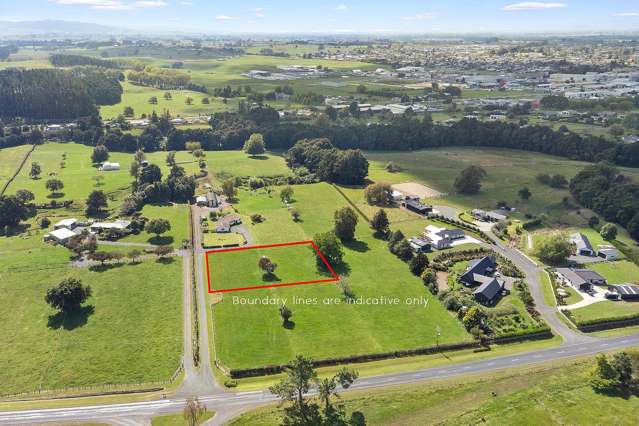 441 Kuranui Road Morrinsville_3
