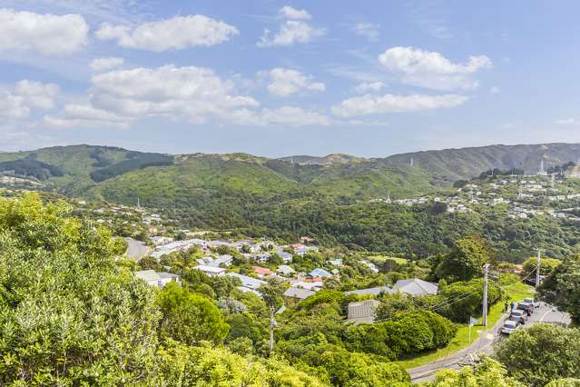 139 Cecil Road Wadestown_2