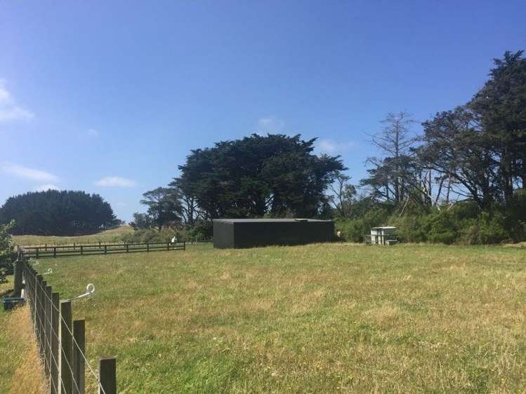 66 Cameron Road Westmere_16