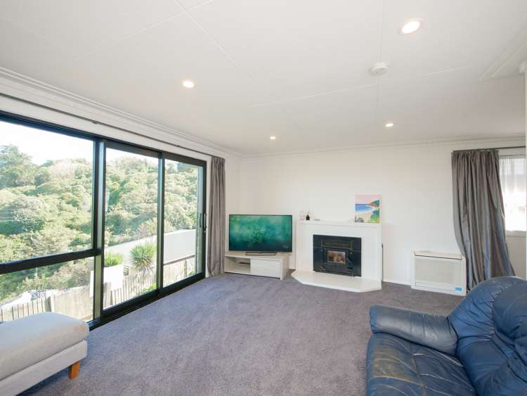 20 Larnach Road Waverley_1