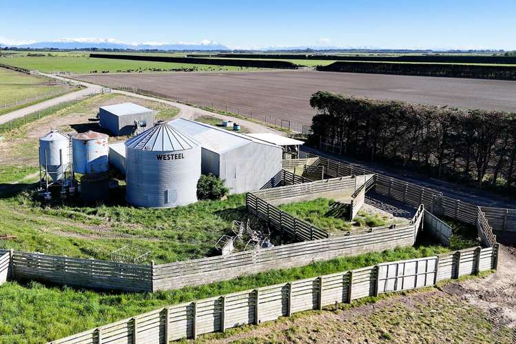 439 Dawsons Road Ashburton_9