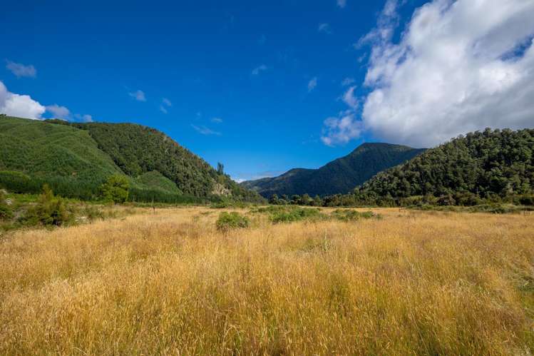 101 Gowan Valley Road Gowanbridge_11