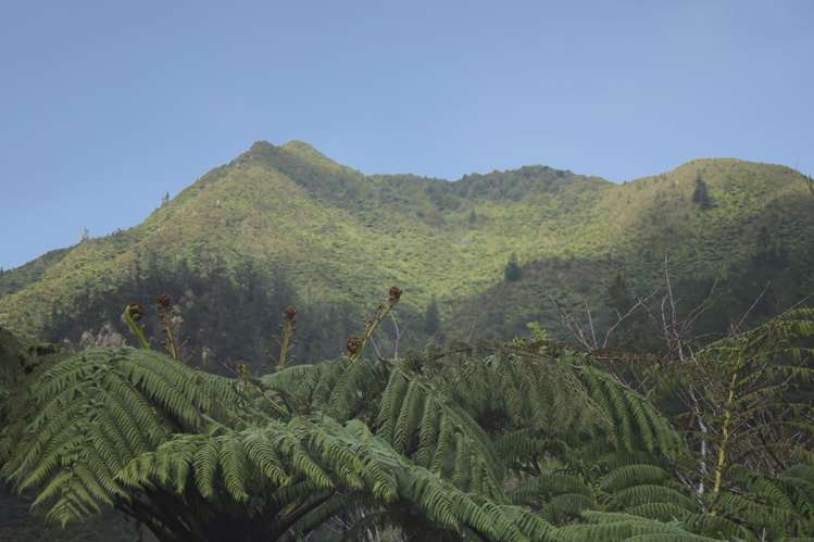 5 Primrose Lane Karangahake_5