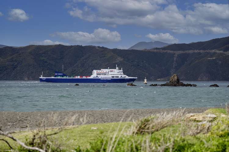 7 Marine Parade Seatoun_10