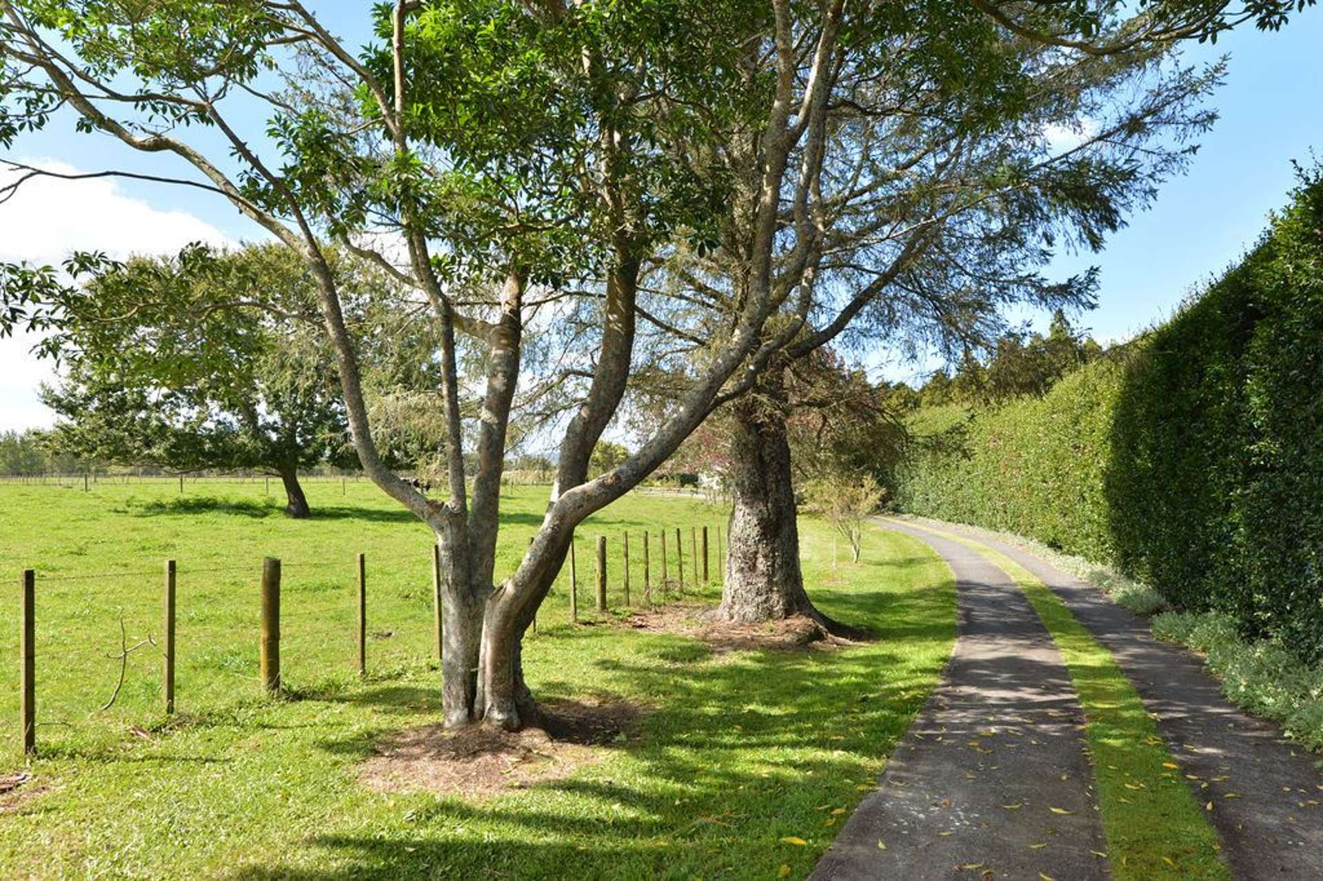 1221 Kokopu Road Poroti_0