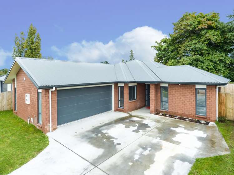 51 Tupelo Street Pukete_0