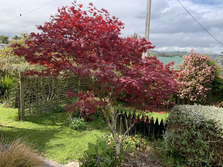 11 Ross Street Balclutha_17