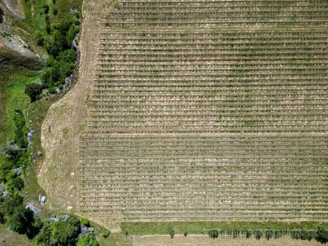 220 Omihi Road Waipara_2