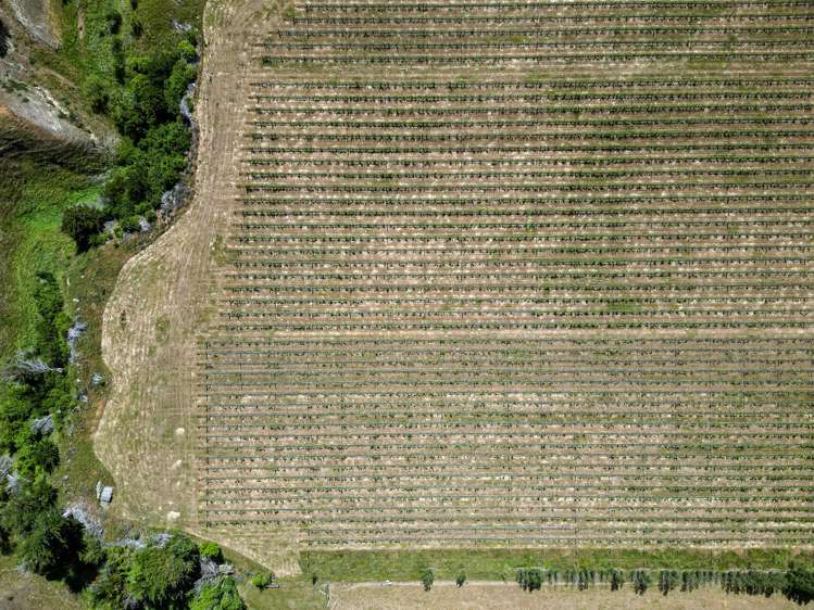 220 Omihi Road Waipara_2