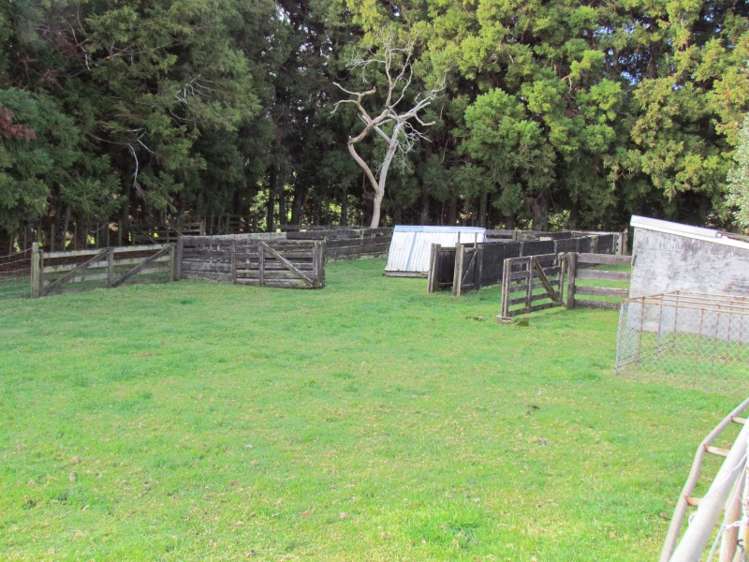 402 Youngson Road Whakamarama_6