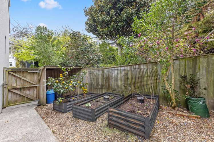 7 Oak Grove Mount Cook_21