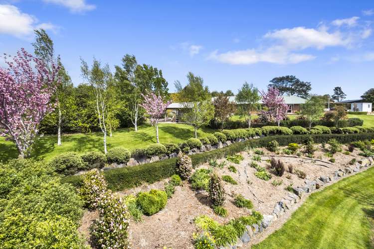 8 Wavy Knowes Drive Waldronville_18