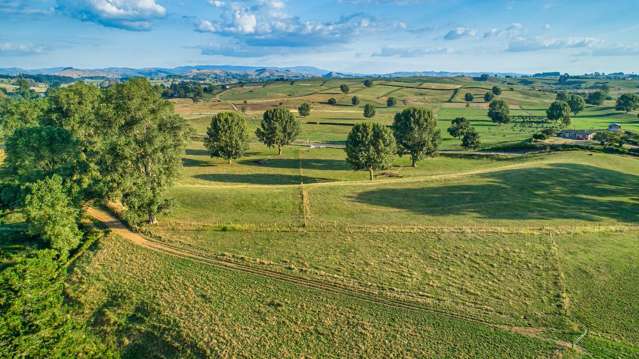 Wharepuhunga Road Te Awamutu_4