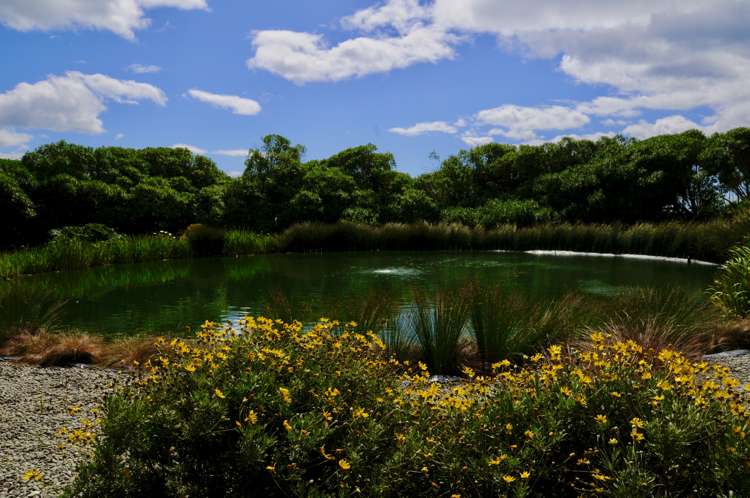 964 Waianakarua Road Herbert_10