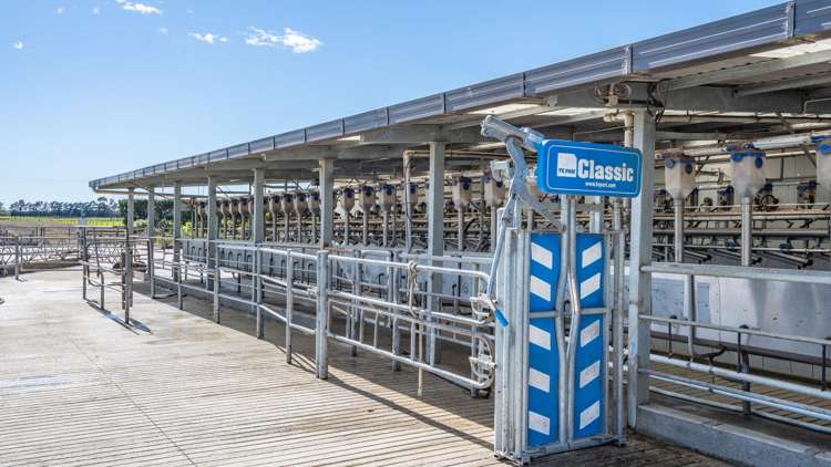 82 Dicks Road Sefton_9