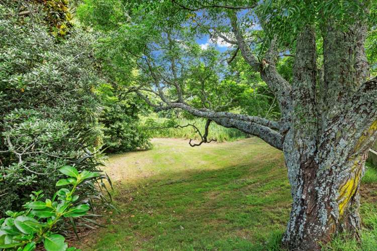 23 Pohutukawa Place Ellerslie_16