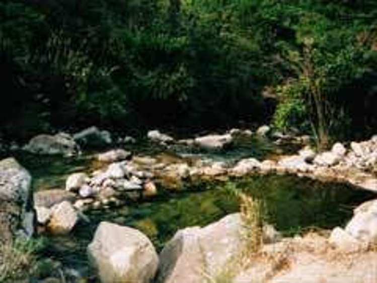 351 Harvey Road Marahau_16