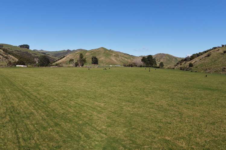 722 Castle Hill Road Alfredton_5