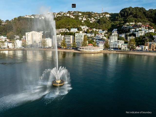 4 Baring Street Oriental Bay_4