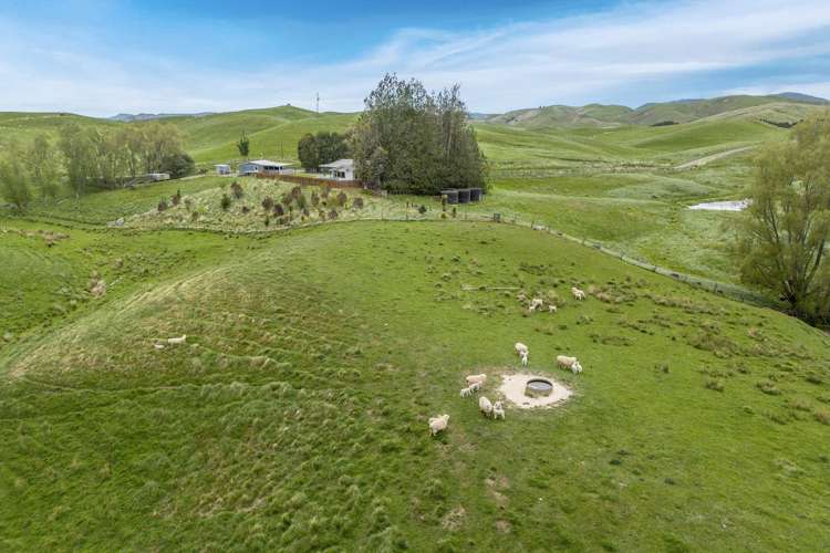 209 Pattison Road Waipukurau_31