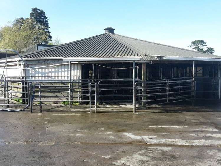 346 Rugby Road Tariki_2