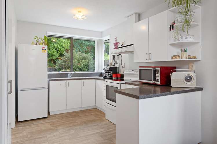 1/8 Torvill And Dean Lane Cashmere_8