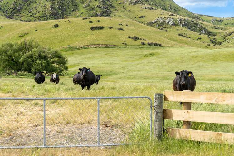 23 Klifden Road Oturehua_5