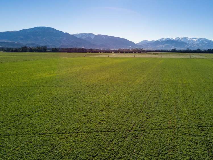 893 Tramway Road Mount Somers_20