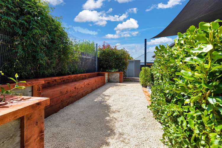 29a Wellington Street Ashley_21