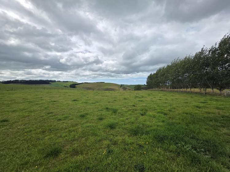 374 Airedale Road Weston_30