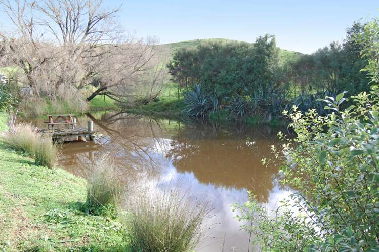 353a Brown Road Kaiwaka_5