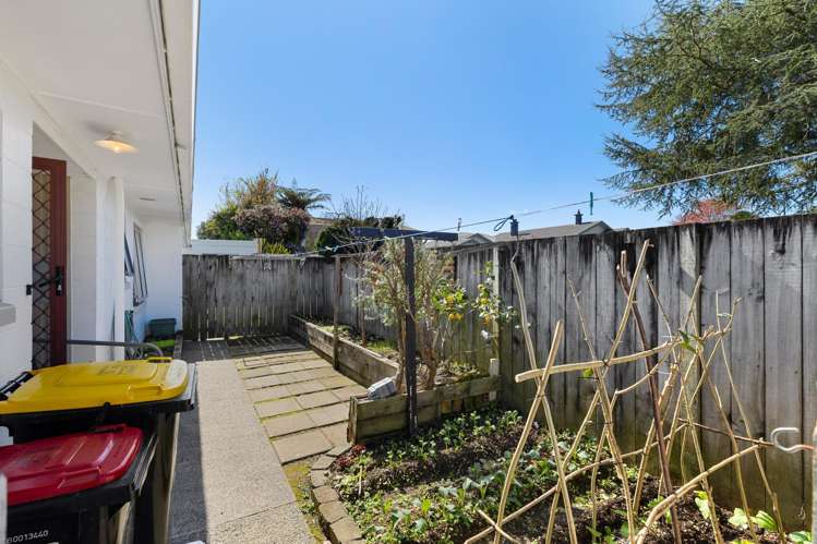 319a Thames Street Morrinsville_10