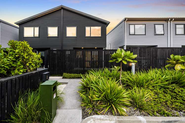31 Gecko Road Hobsonville_14