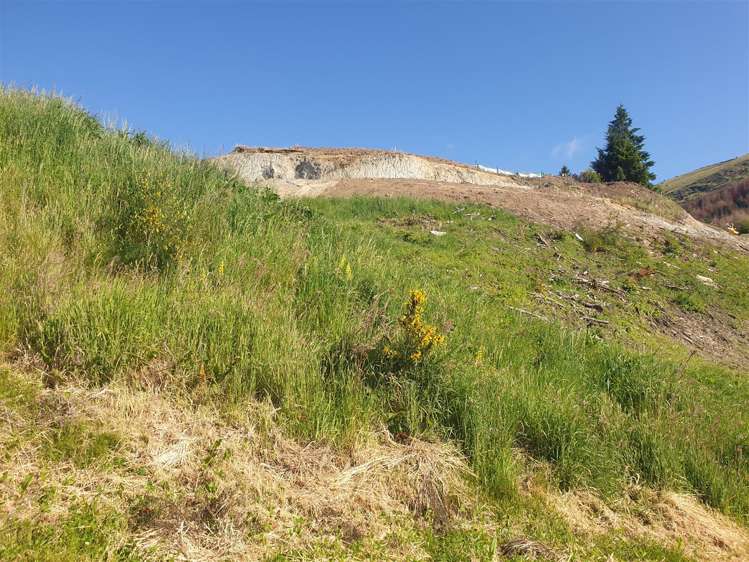 2 Short Court Queenstown Hill_8