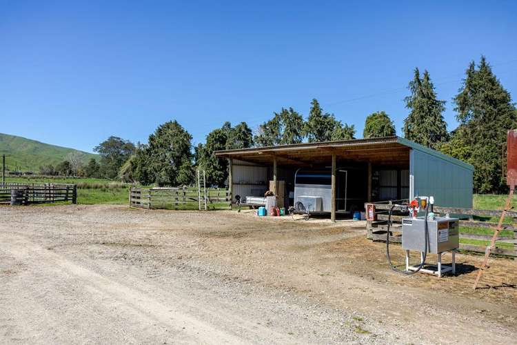 918 Pahiatua Pongaroa Road Pahiatua_13