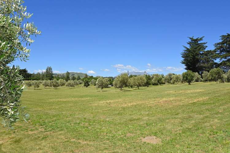 142b Dublin Street Martinborough_18