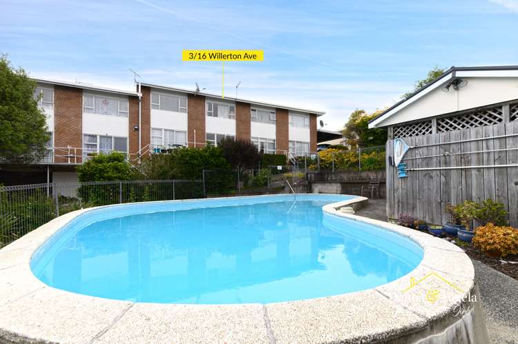3/16 Willerton Avenue New Lynn_0