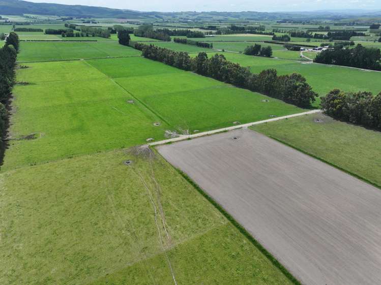 261 Middle Road Tapanui_9